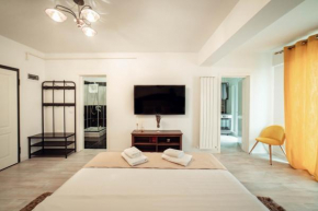 Amazing Cozy Studios in Iasi City